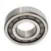 NJ309 Bearing - Fruitland19A