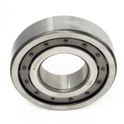 NJ309 Bearing - Fruitland19A