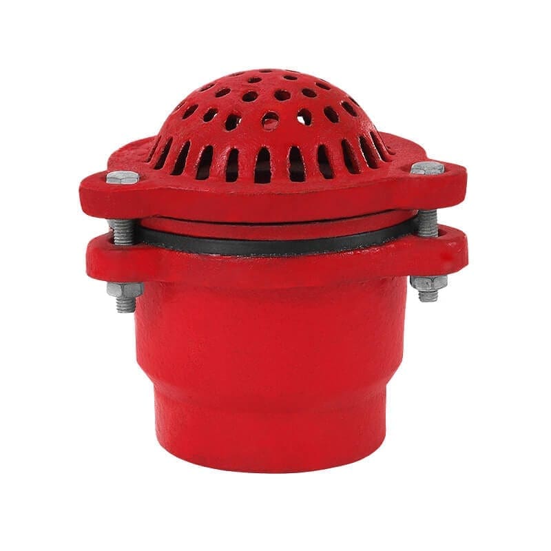 Suction Foot Valve, Cast Iron