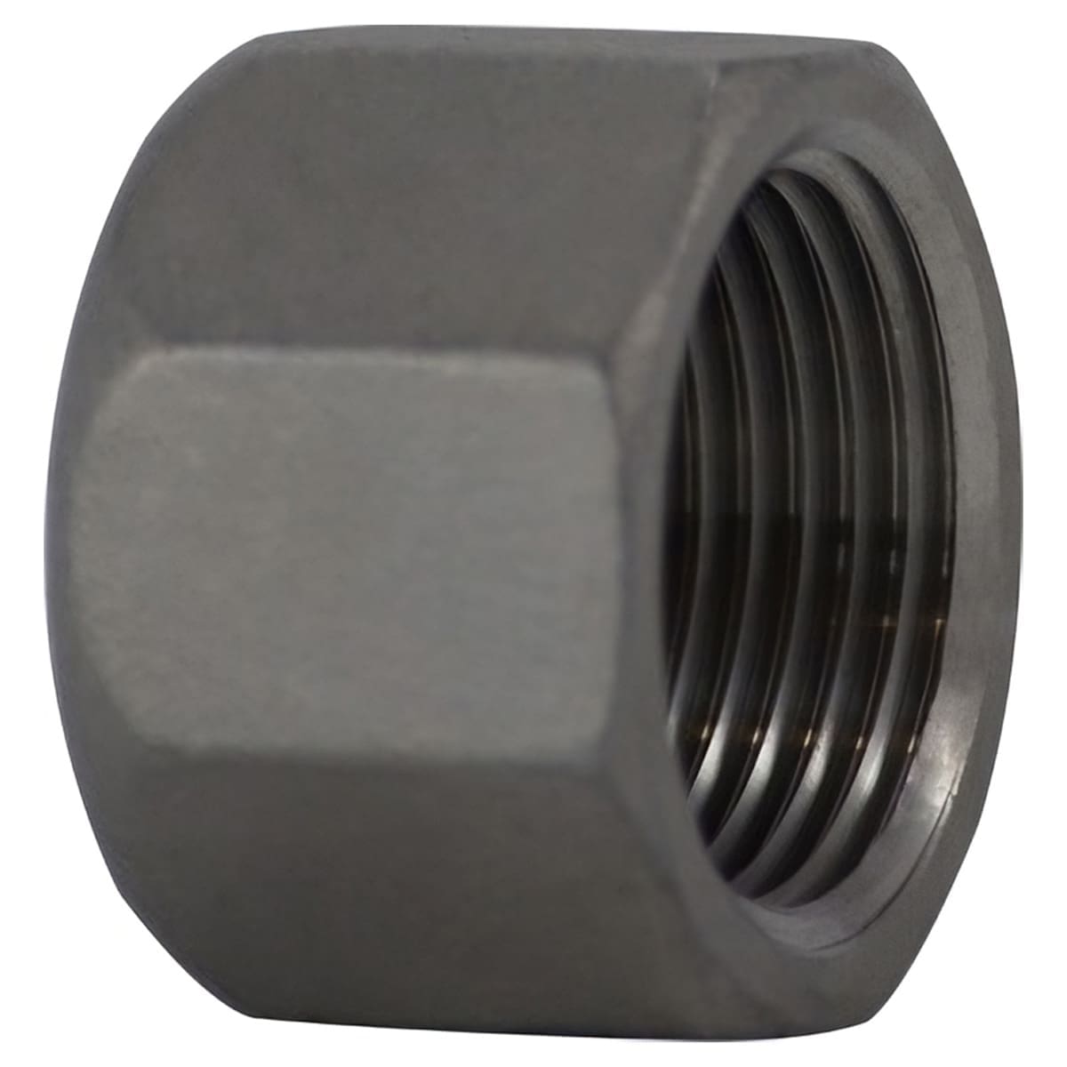 1/4" Pipe Fitting Hex Cap, 150# 316 Stainless Steel, Female NPT Threads